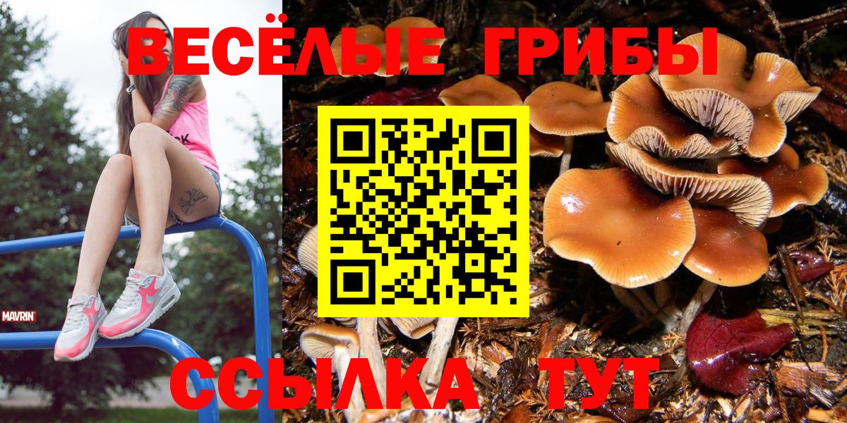 Галлюциногенные грибы Magic Shrooms  купить наркоту  Вход с VPN  Оренбург  Галлюциногенные грибы Cubensis 