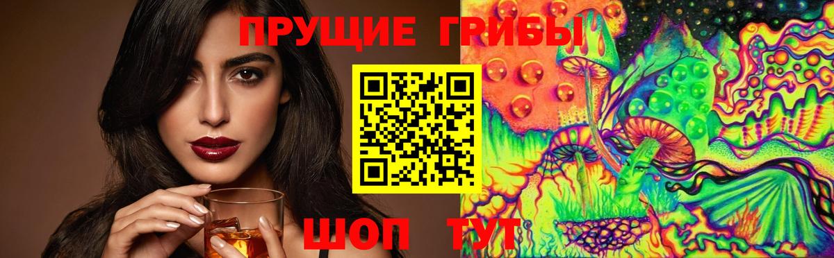 Псилоцибиновые грибы мицелий Оренбург