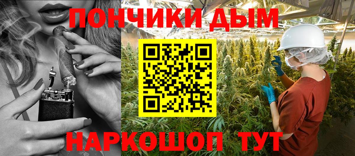 МАРИХУАНА сатива Оренбург
